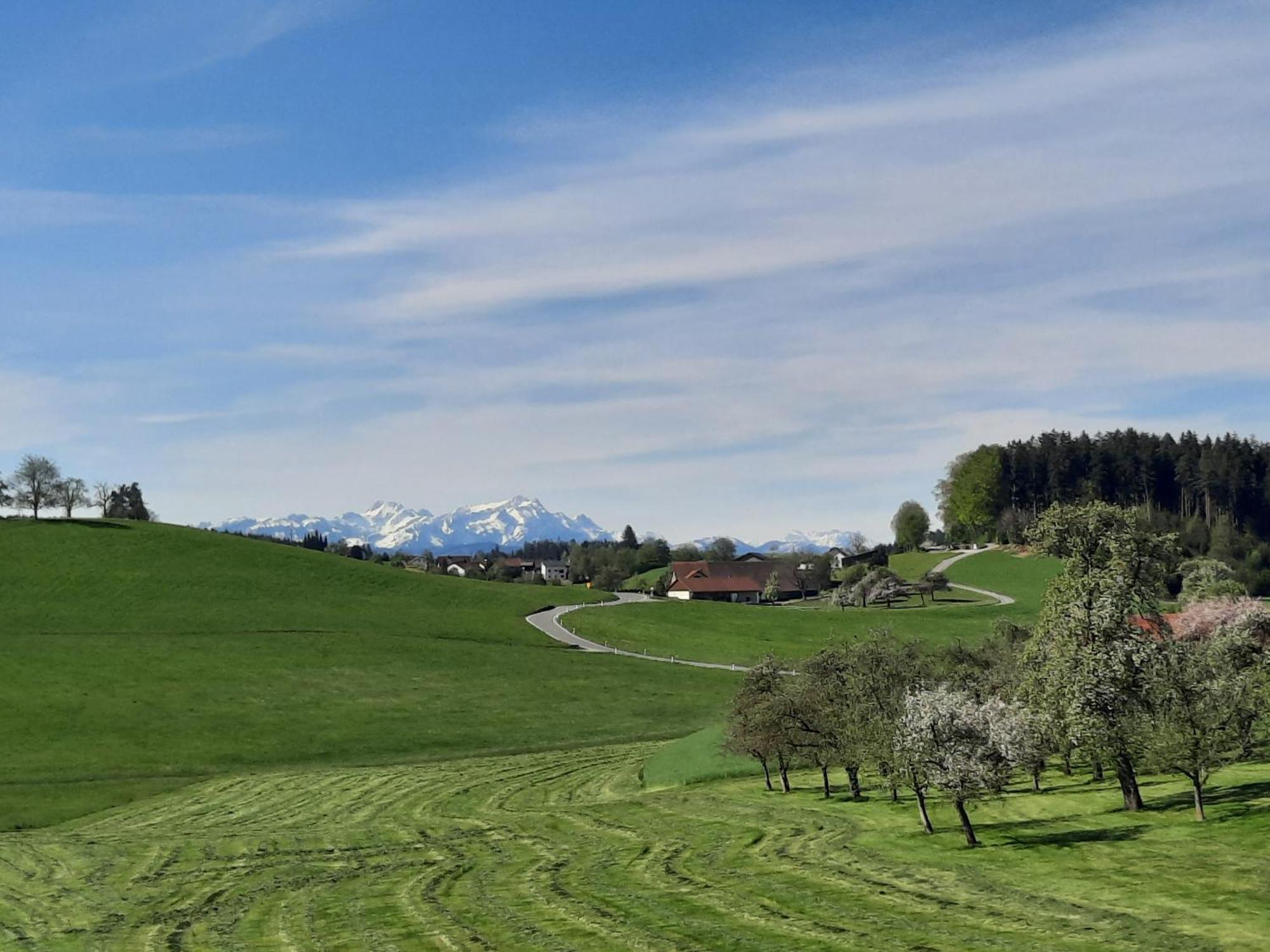 Ferienwohnung Pusteblume Neukirch  Esterno foto